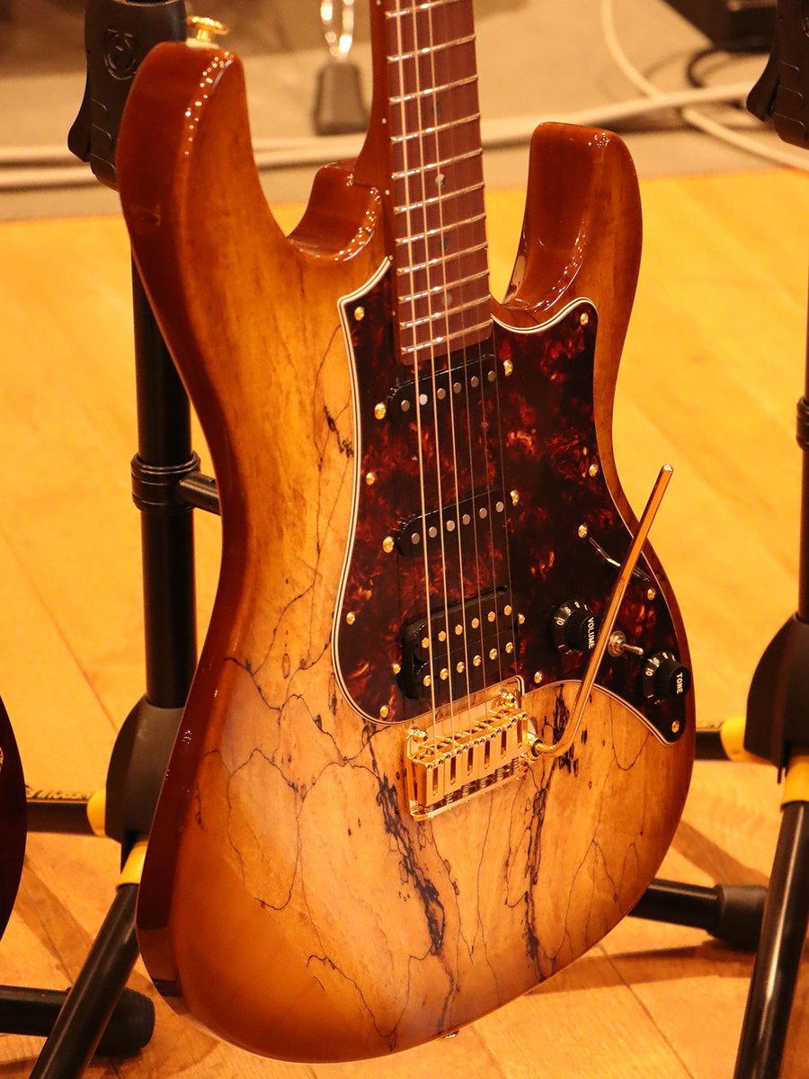 🎸EOS2-EW1-RM/HCB(ほうじ茶バーストカラー) ギター、最後はこちら