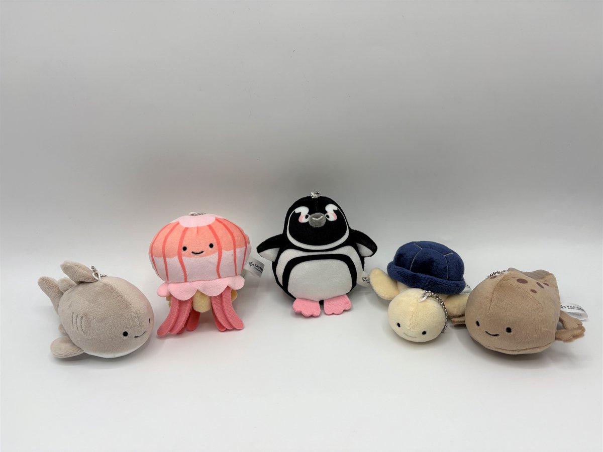 Qualia(クオリア)公式 (@Qualia_45_) / Highlights / X