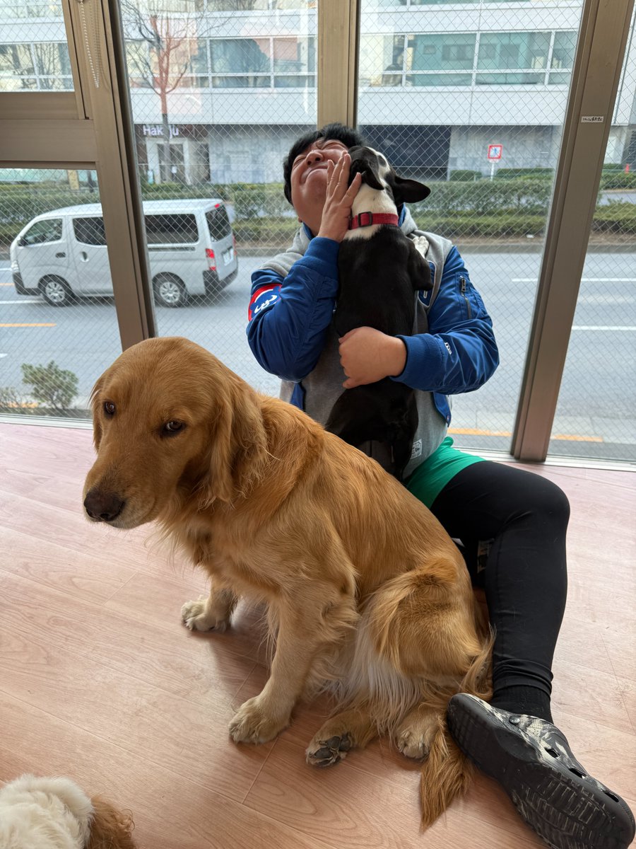 バナナマン日村が歩く！ウォーキングのひむ太郎【公式