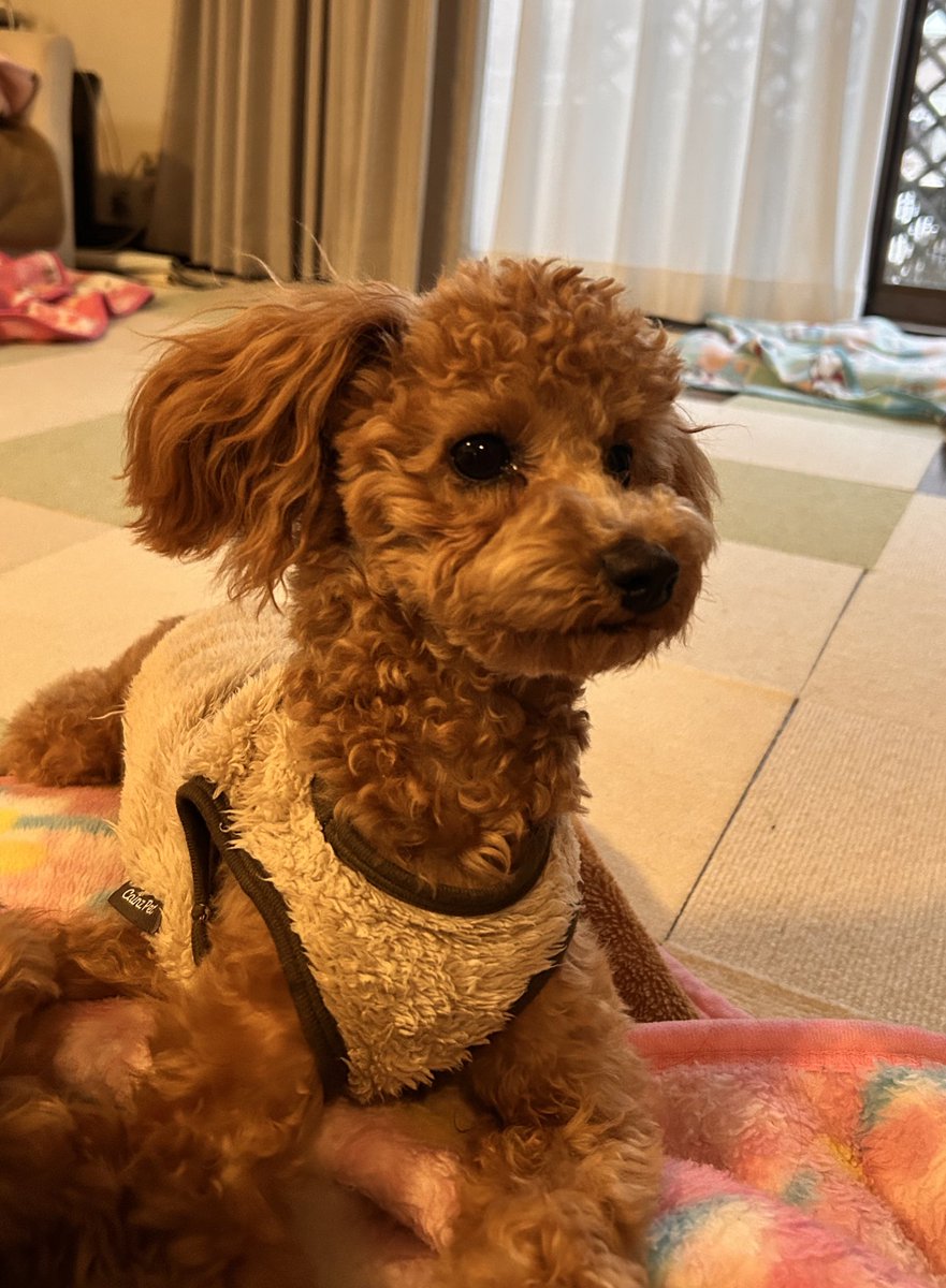 かずちゃん (@kazu13chan) / Posts / X