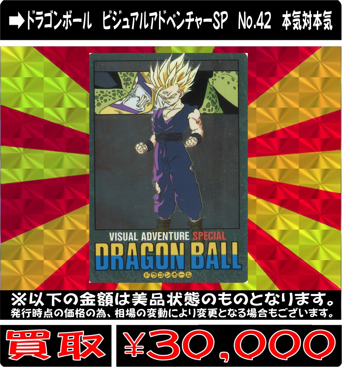 ドラゴンボール ビジュアルアドベンチャー PSA10 1995 DRAGONBALL
