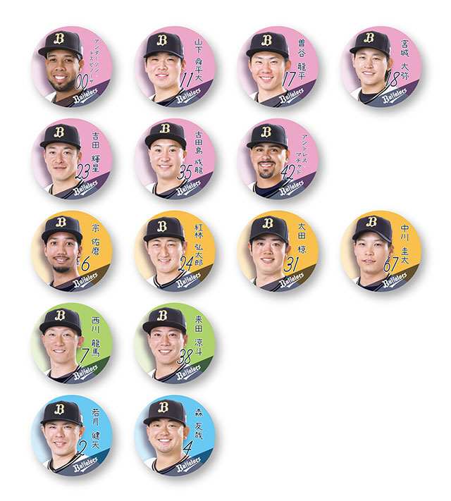 ジュニア会員対象の球場お渡しグッズ「選手缶バッチ(シークレット)」の