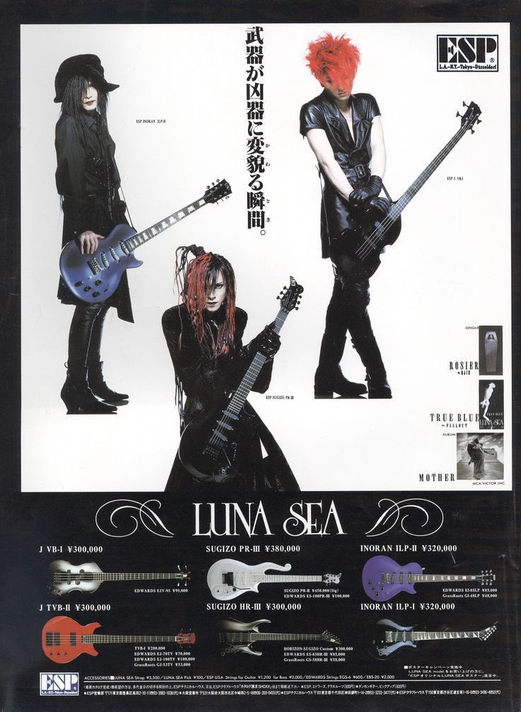 LUNA SEAの弦楽器隊のESP時代の販促凄い。 これを見てどれだけの