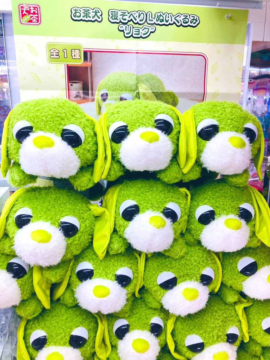 🌈景品入荷情報🌈 🍵お茶犬 寝そべり Lぬいぐるみ“リョク”🐶 入荷致し