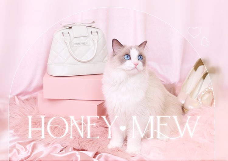 ミシェルマカロンのコラボで大人気だった ｲﾓちゃん（@0oy16）が待望の