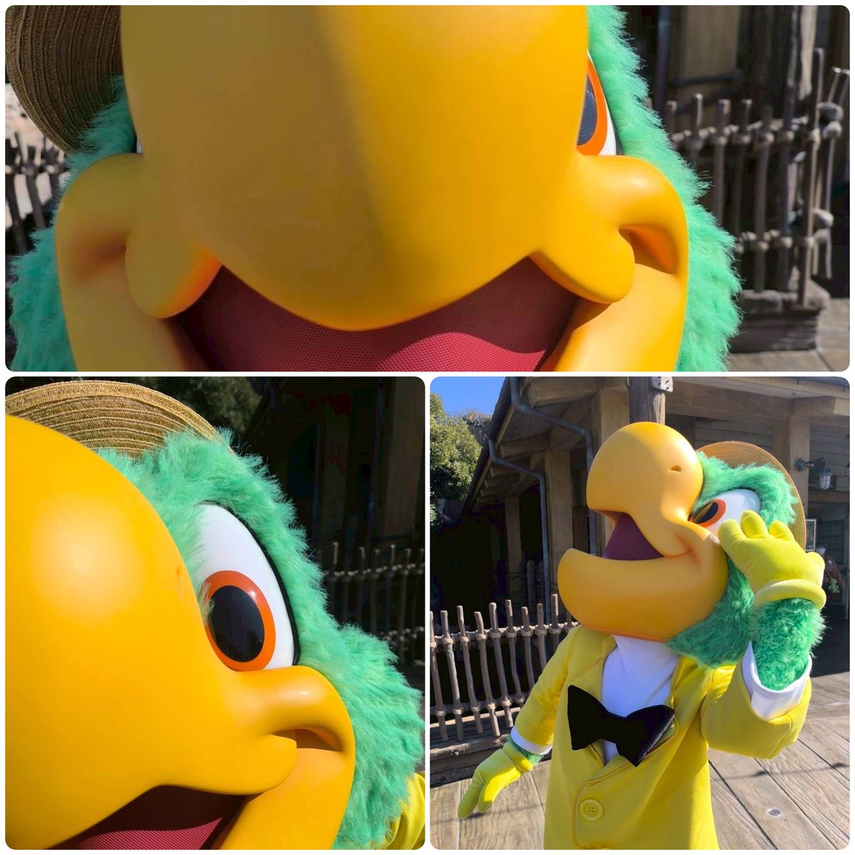 きりん🌈 (@39kirin) / Posts / X