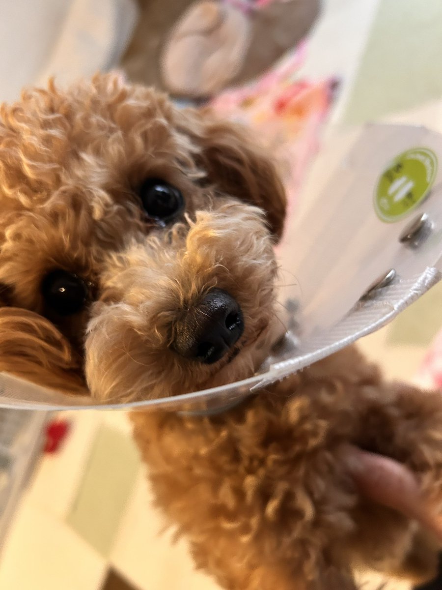 かずちゃん (@kazu13chan) / Posts / X