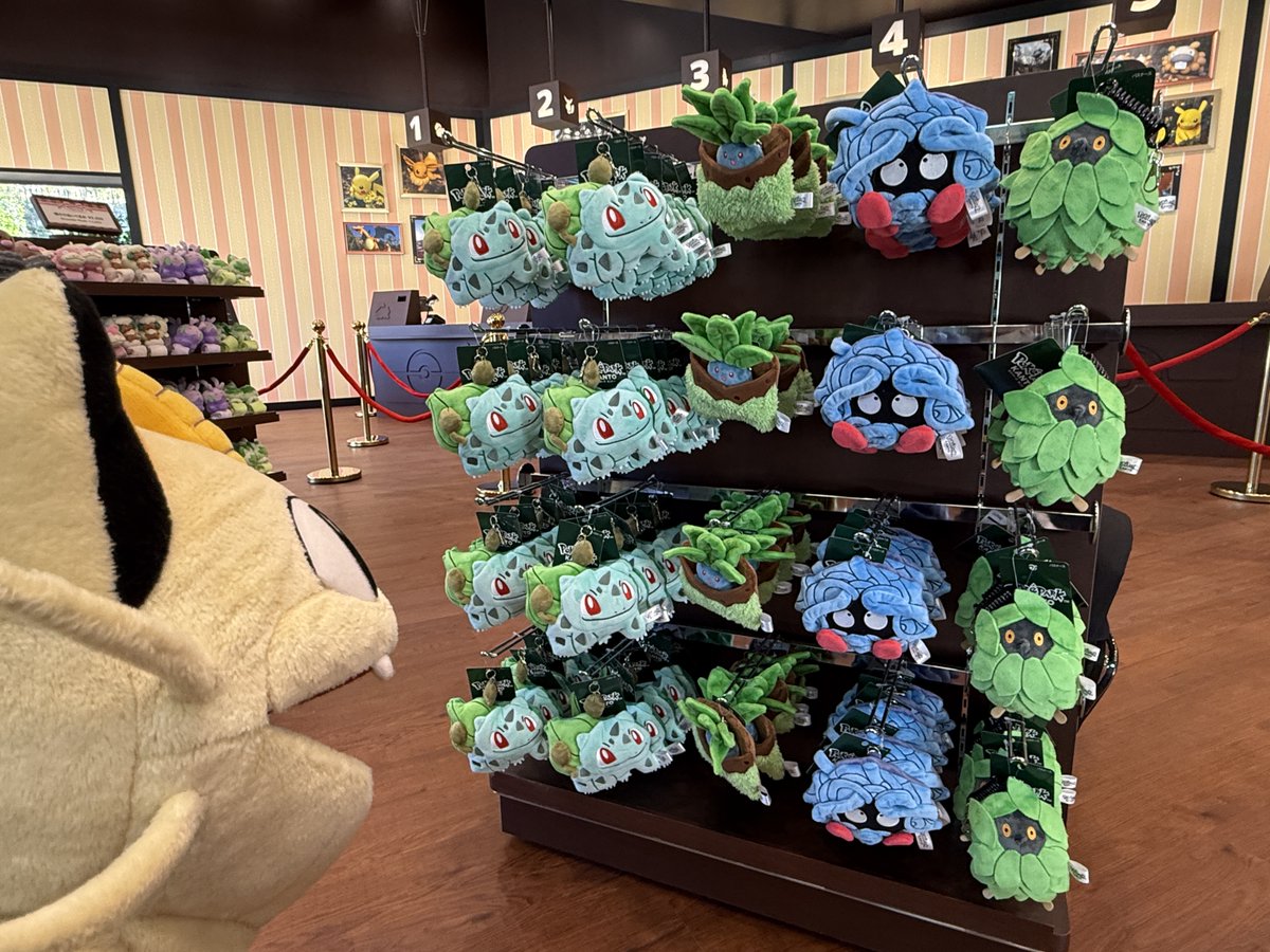 ポケモン モンコレ 初期 フシギダネ ナゾノクサ モンジャラ 進化系