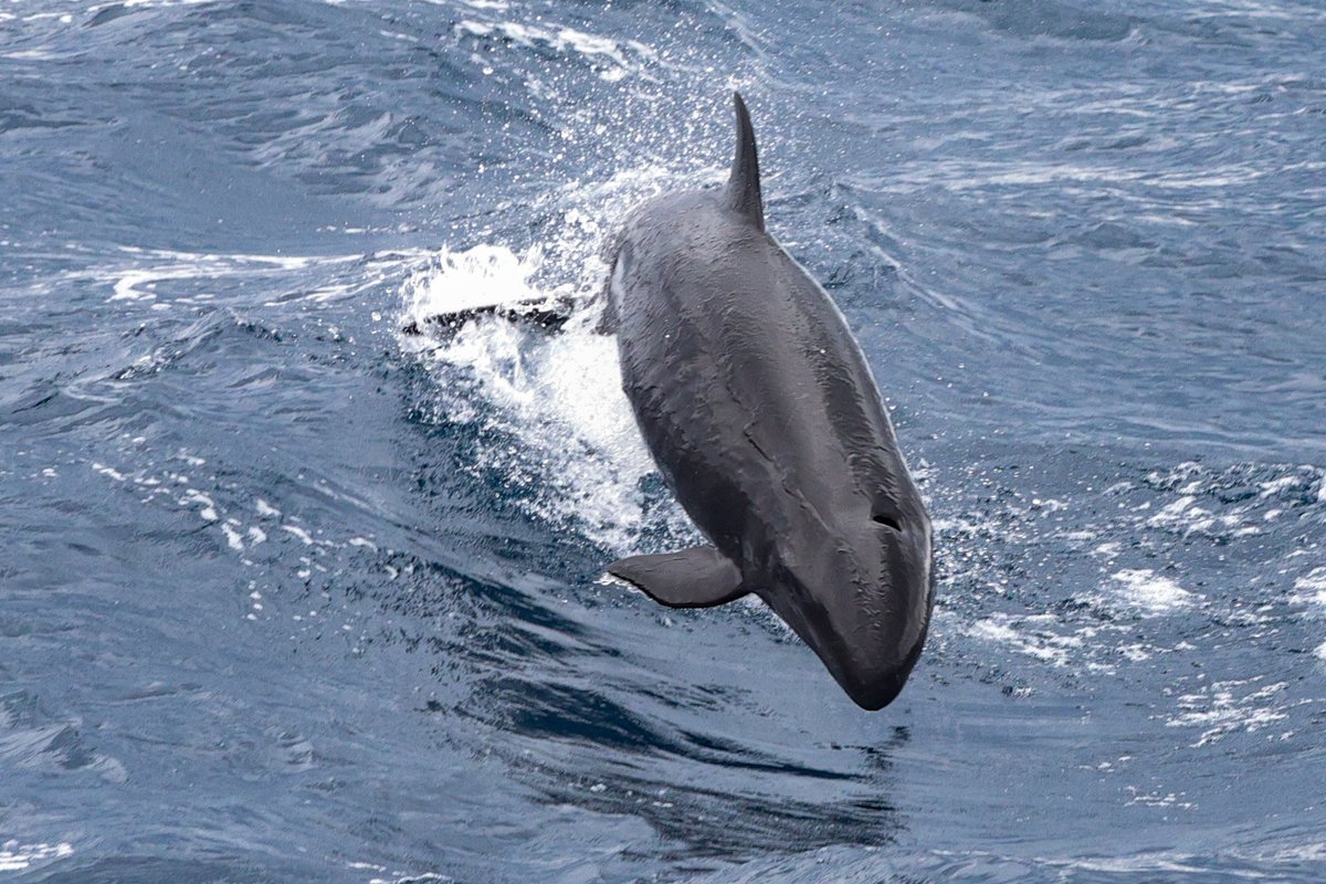 みゆう (@1321_my) / Posts / X