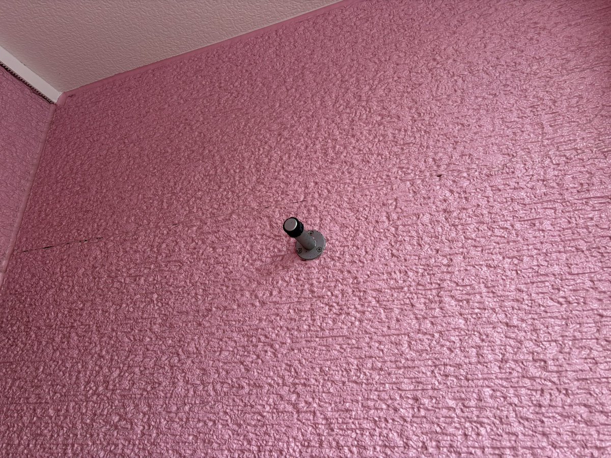 iPhone17で初めて撮った写真です