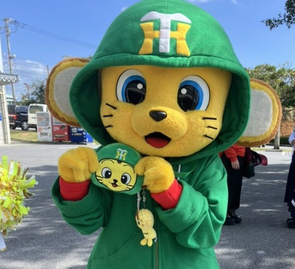 公式】阪神タイガースグッズ情報 (@tigersgoodsinfo) / Posts / X