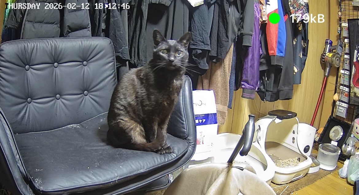 よっさん & 黒之 (@Yossan_Kuroyuki) / Posts / X