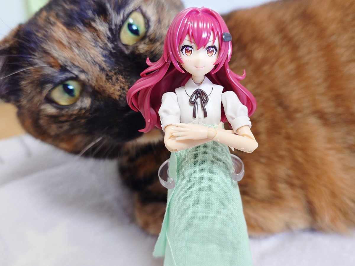 寄りで圧倒せよ この時のエマちゃん先輩もう少しで 家ネコのランチに