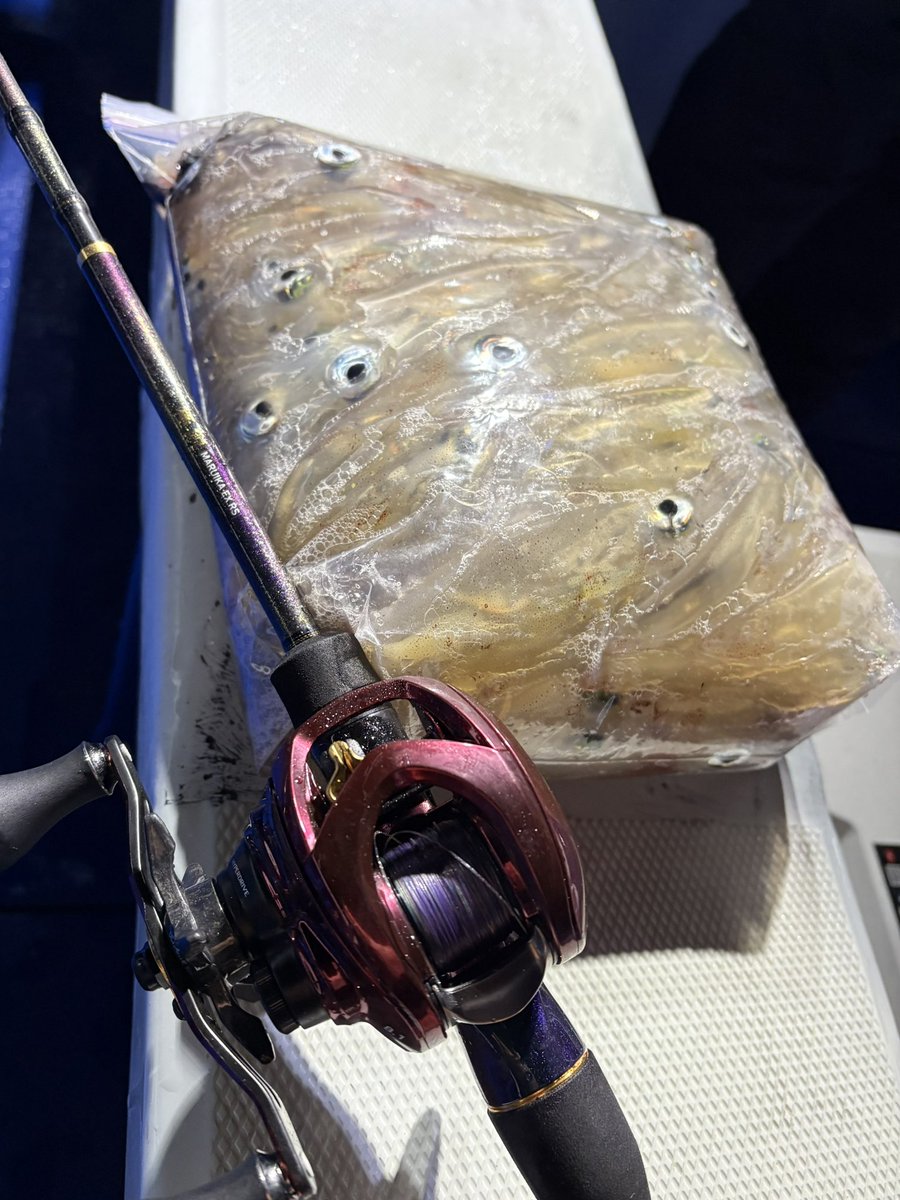 つり情報さんの連載『沖釣りトレンドチェイサー』の取材で沼津港「秀丸