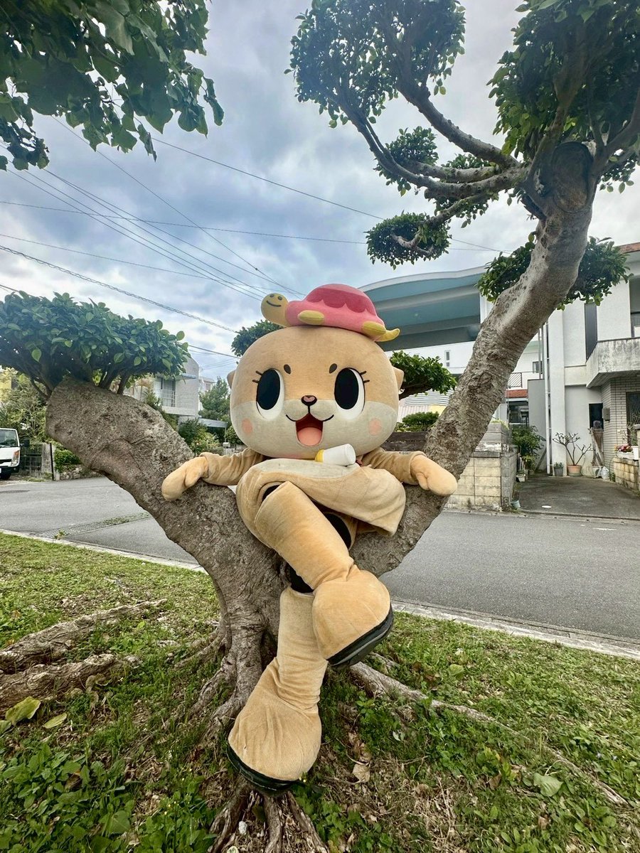 ここ、ちぃたん☆の専用席？🌳😂