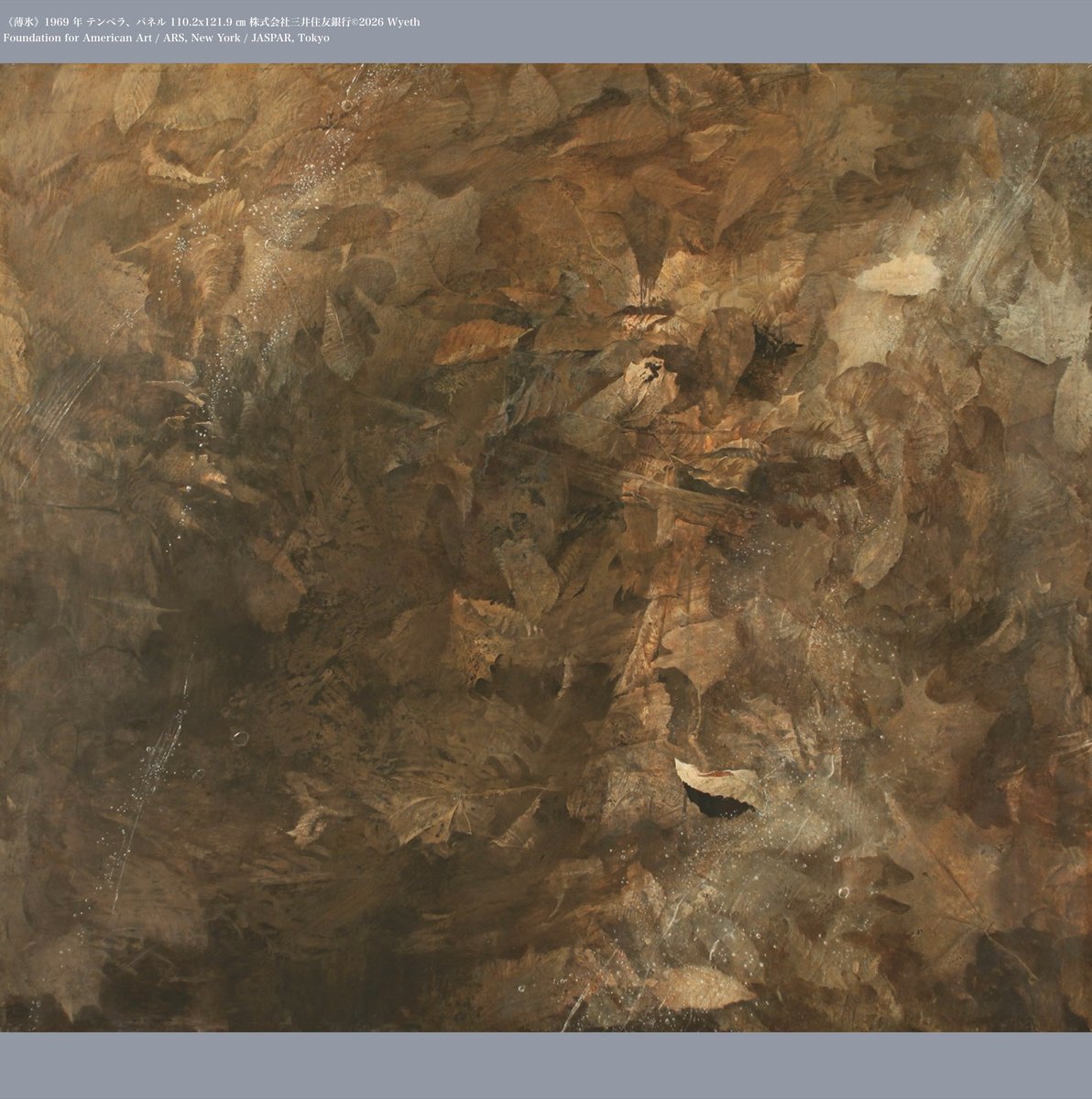 紫苑 (@shion259) / Posts / X