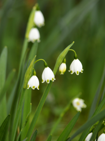 占いサロン順震(原宿当たる占い師5選、ヤフー占い売上No1占い師）2/28