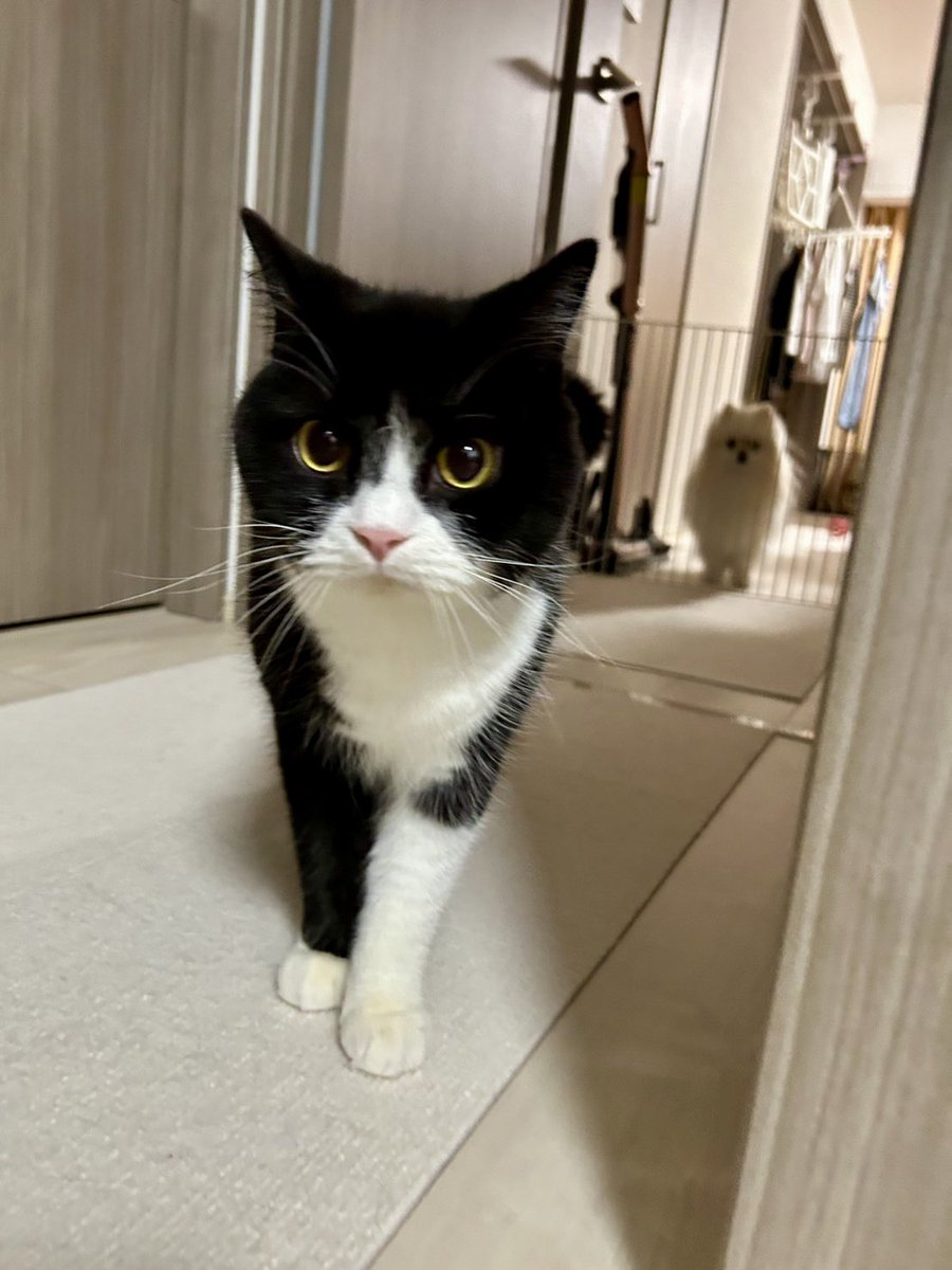 たろう (@taro20216) / Posts / X