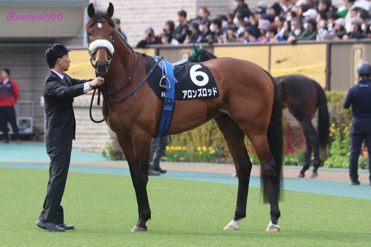 20260214東京9R 箱根特別 6アロンズロッド エピファネイアの息子さん