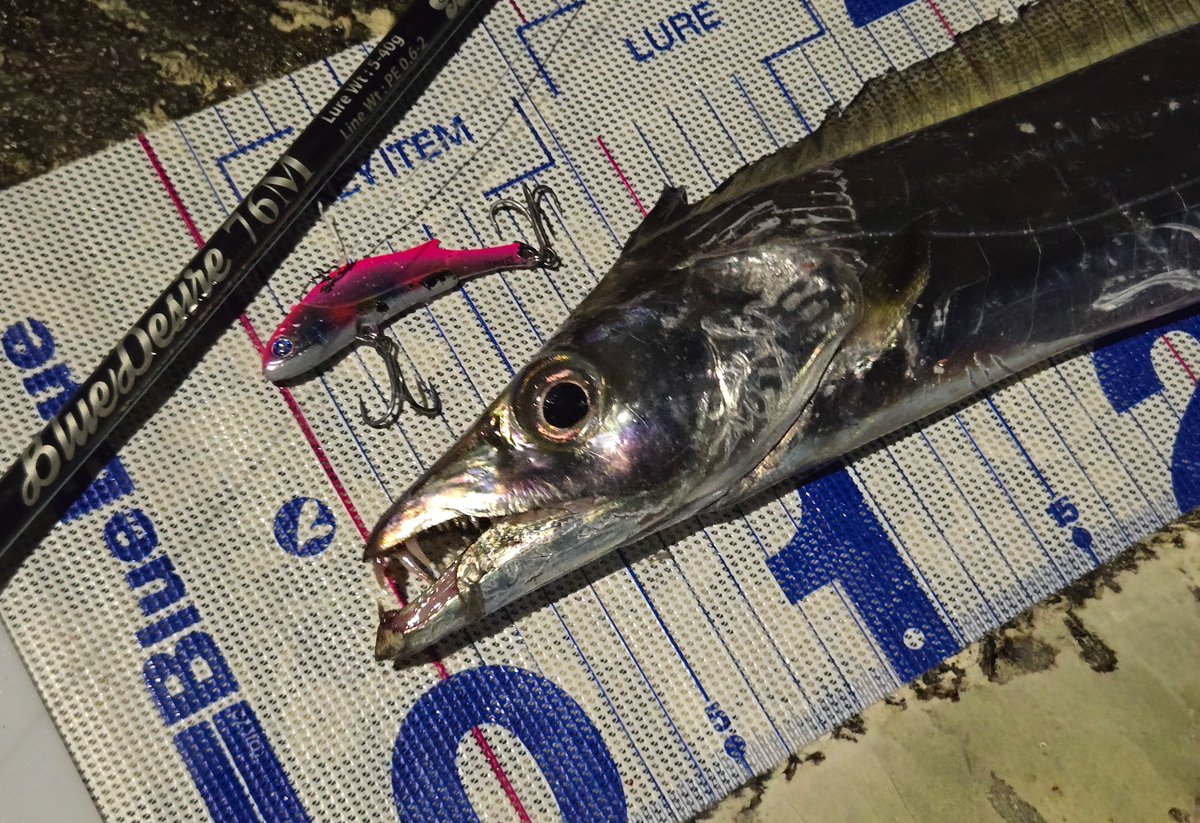 BlueBlue（ブルーブルー） (@BlueBlueFishing) / Posts / X