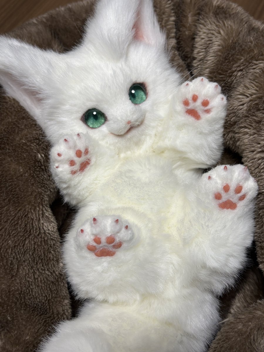 アートドール作ってます🧵 今は新たなうさぎちゃんを製作中！ #知名度