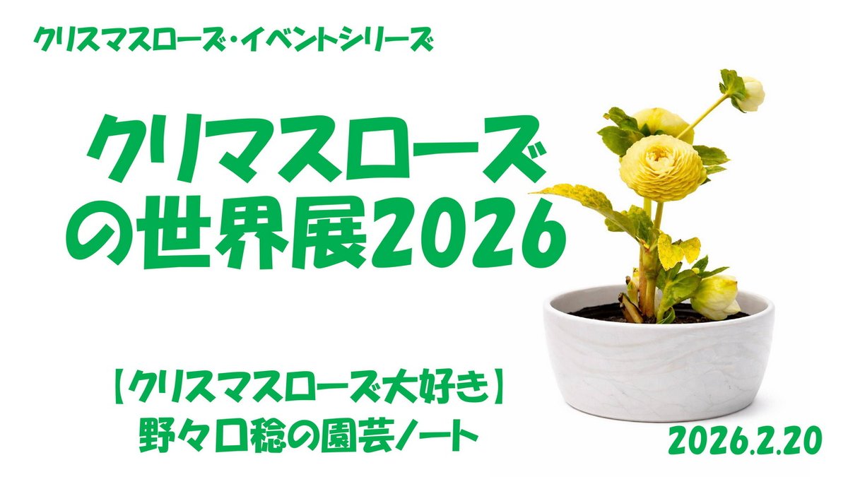 クリスマスローズの世界展2026｜園芸日記by野々口稔｜みんなの趣味の