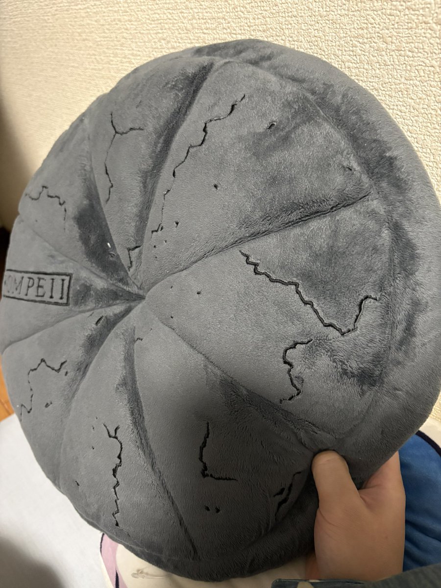 これがポンペイ展で買った炭化したパンのクッション