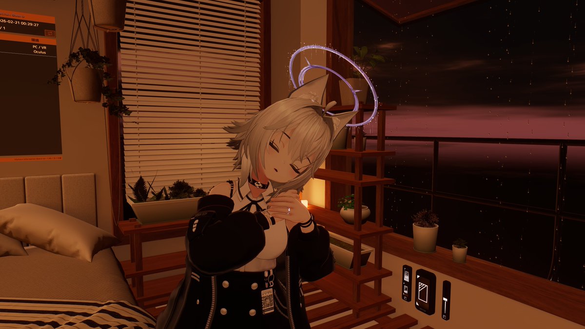 白猫のはくにゃん🤍🐈 (@hakunyan890) / Posts / X