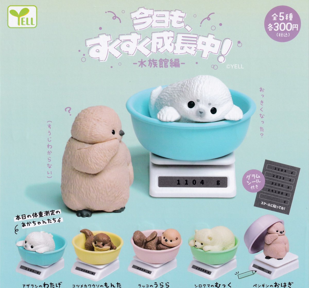 🆕2/21(土)本日入荷情報⑨🌈 ⚪️松屋アイテムコレクション ⚪️今日も