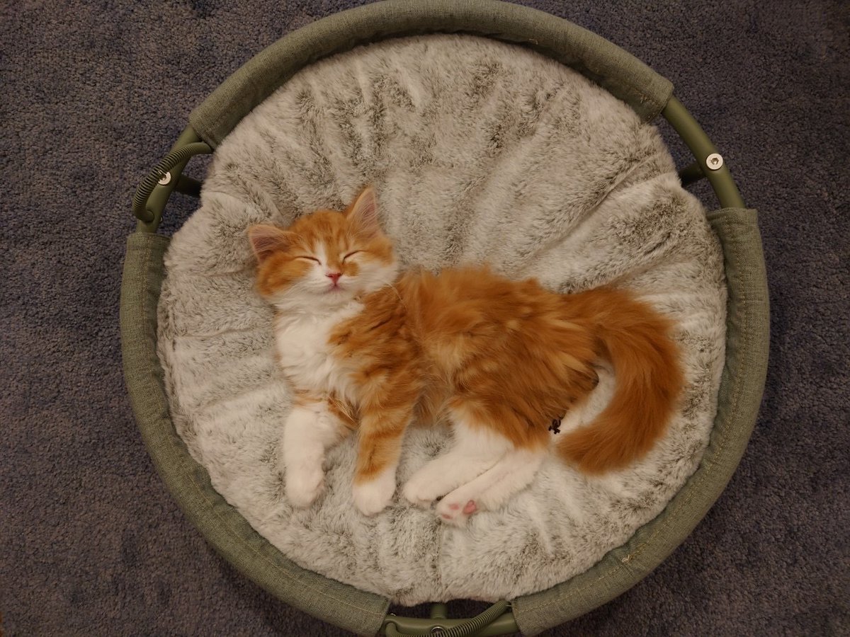 Yahoo!オークション（ヤフオク!）【公式】 (@8209) / Posts / X