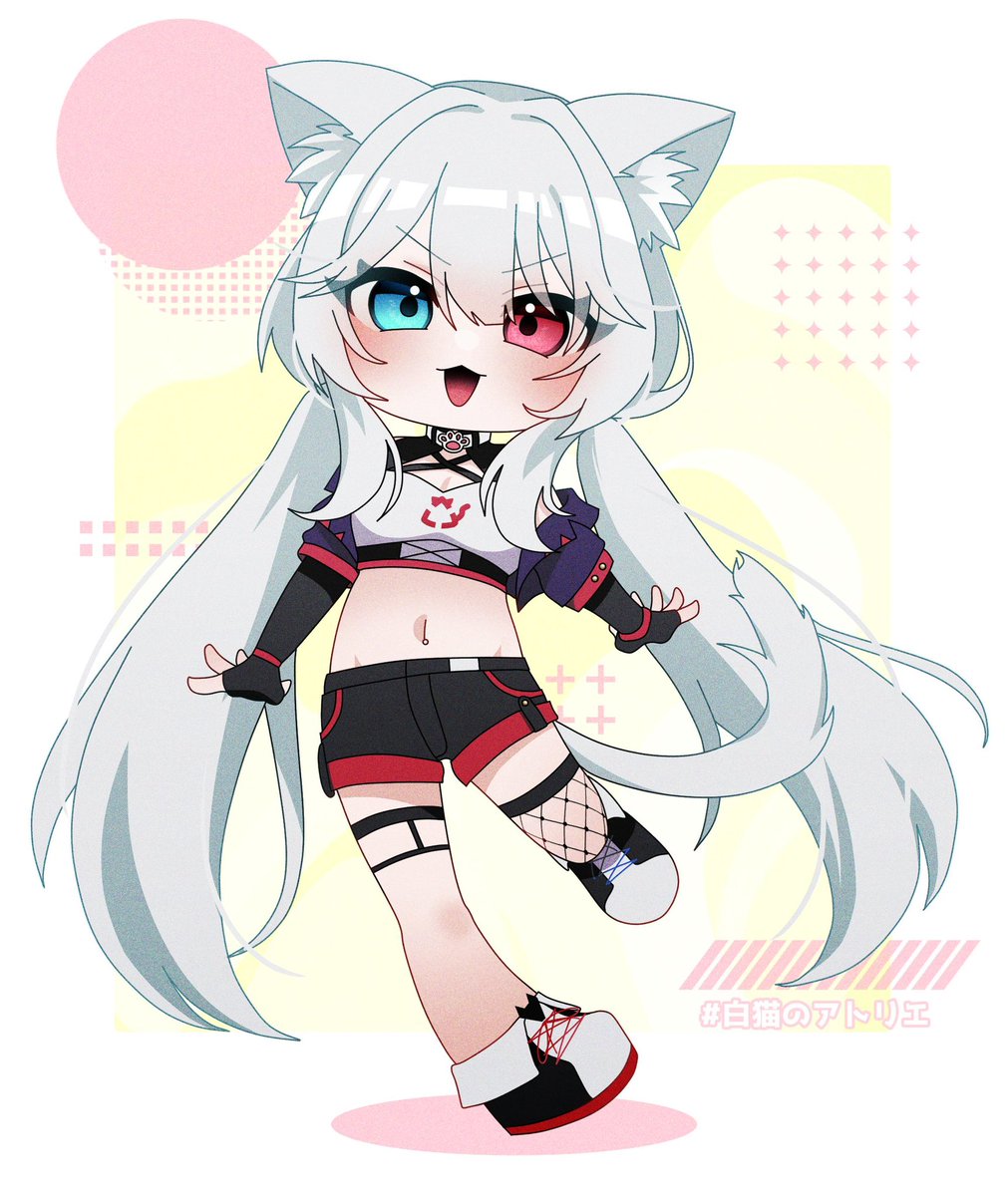 白猫のはくにゃん🤍🐈 (@hakunyan890) / Posts / X