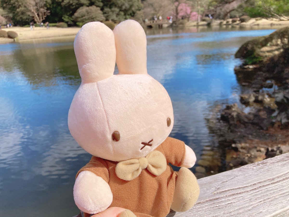 ブラウンちゃんの休日②