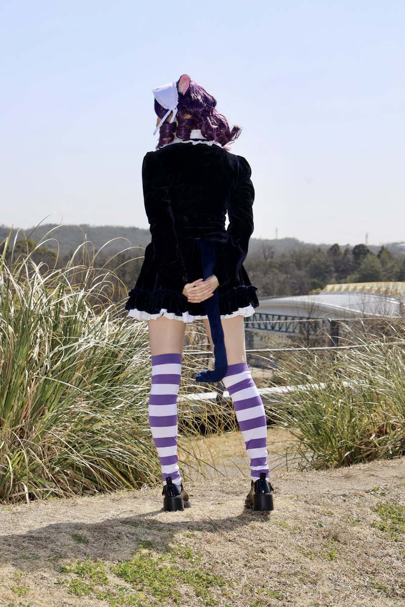 ねこの日 にゃ💜 ニャッ💢