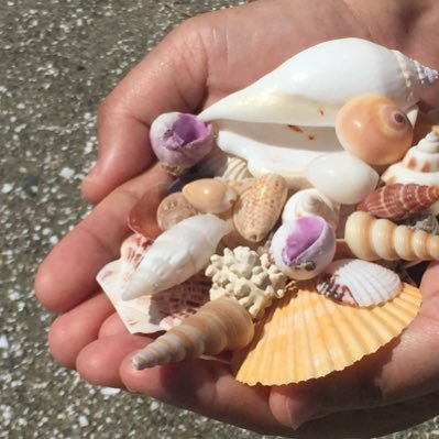 貝殻日和 (@uvYHeMSrf1DLWwf) / Posts / X