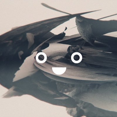 のんたん (@_noontaan) / Posts / X