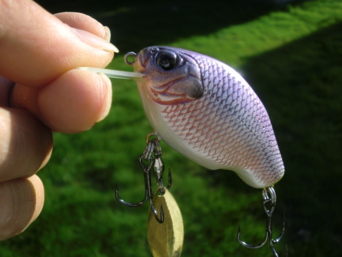 ファットブル4 : Nishine Lure Works 裏日記