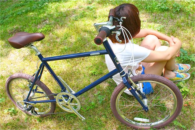 CENTURION センチュリオン MINI VELO 『Md20』ミニベロ 女子