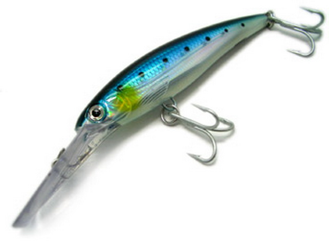 伊勢湾内でサワラが好釣のようです。【カジキ・マグロトローリング