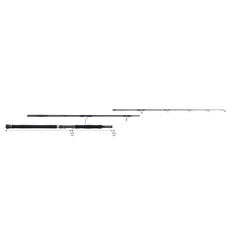 RIPPLE FISHER Aquila