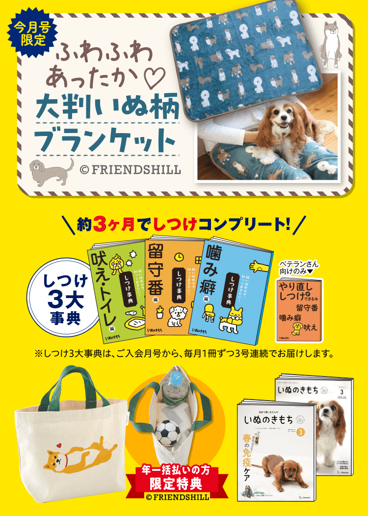 特典・ふろくのご紹介| 愛犬の健康・育て方がわかる雑誌「いぬのきもち