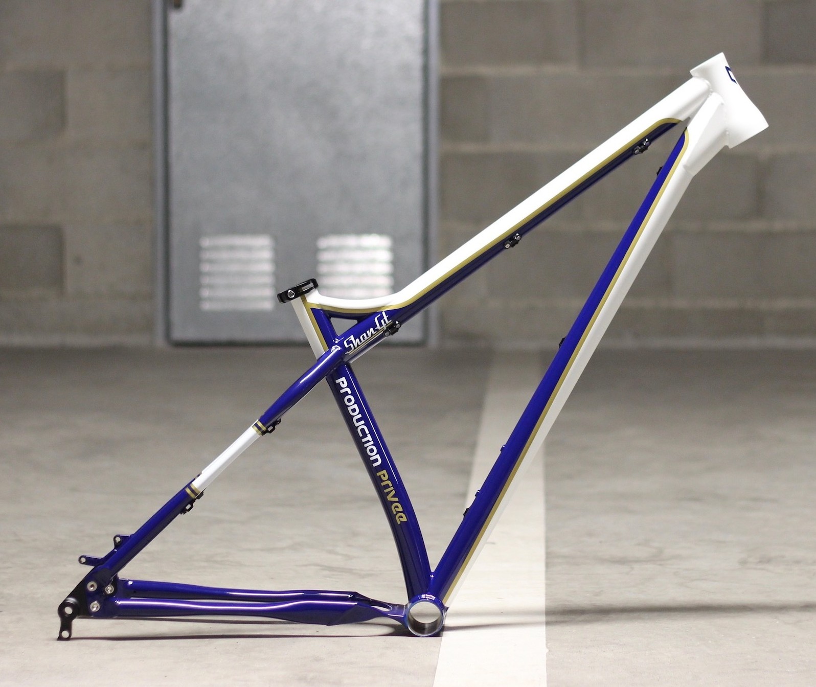Production Privee Shan GT (2017-2020) Frame - Reviews, Comparisons