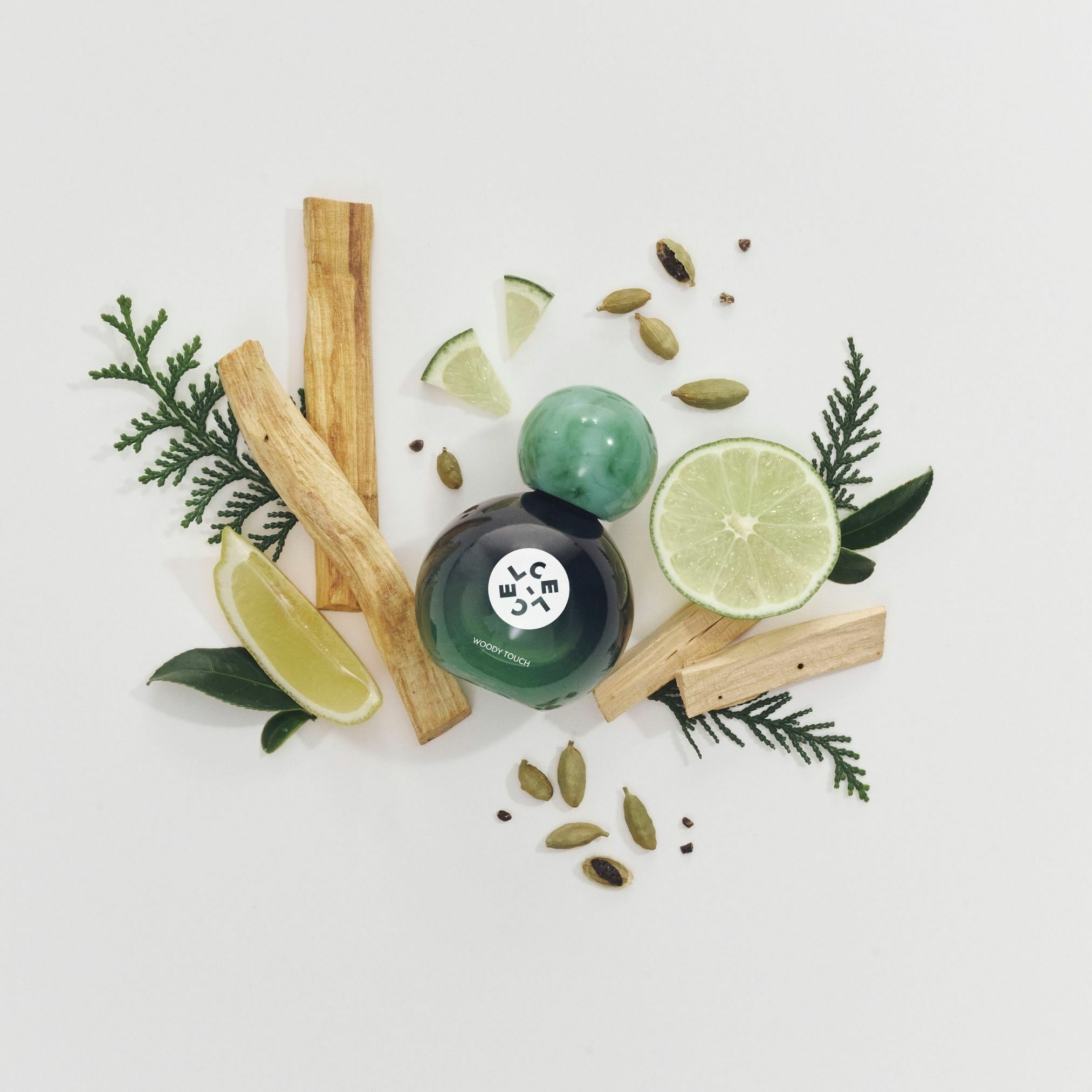 WOODY TOUCH | CEL-CEL