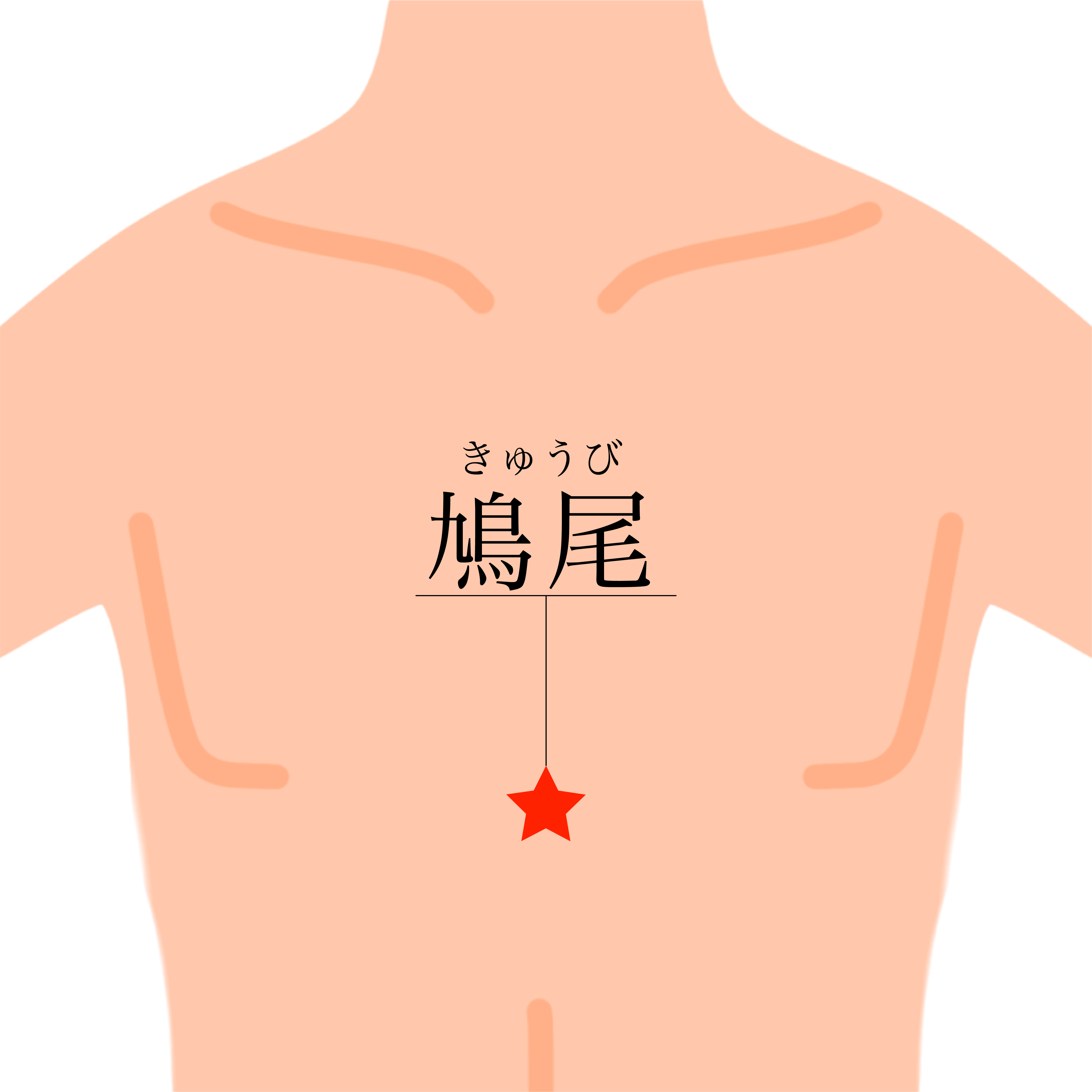 LIFEWAVE carnosine＜ カルノシン ＞ | ライフウェーブパッチ等健康