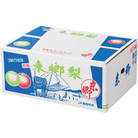 新興梨＜5kg＞ 9玉 ＜ 東郷梨選果場