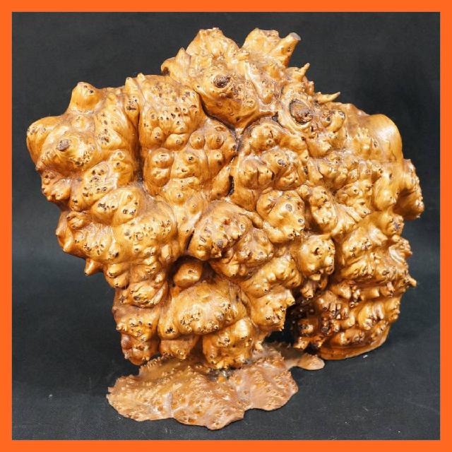 花梨 カリン 一枚板 瘤杢 オブジェ 幅約30.0cm 天然木 置物 インテリア