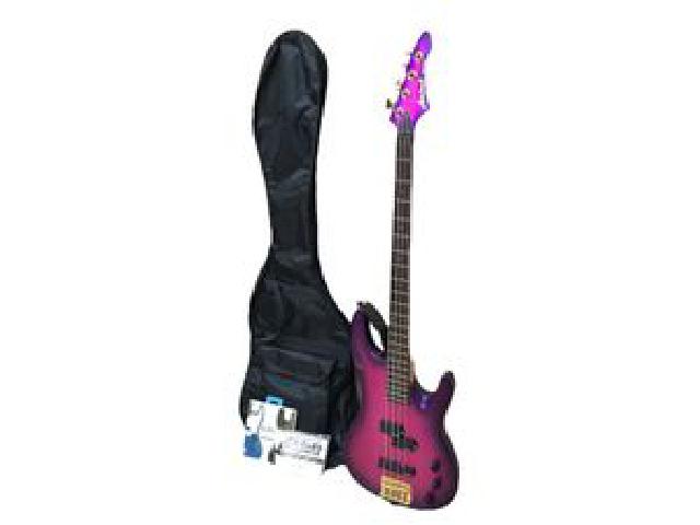 Aria Pro Ⅱ MAGNA series エレキベース 弦 ベース 音楽 楽器 バンド