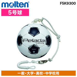 モルテン サッカーボール 5号球 天皇杯 試合球 検定球 F5E5000-H