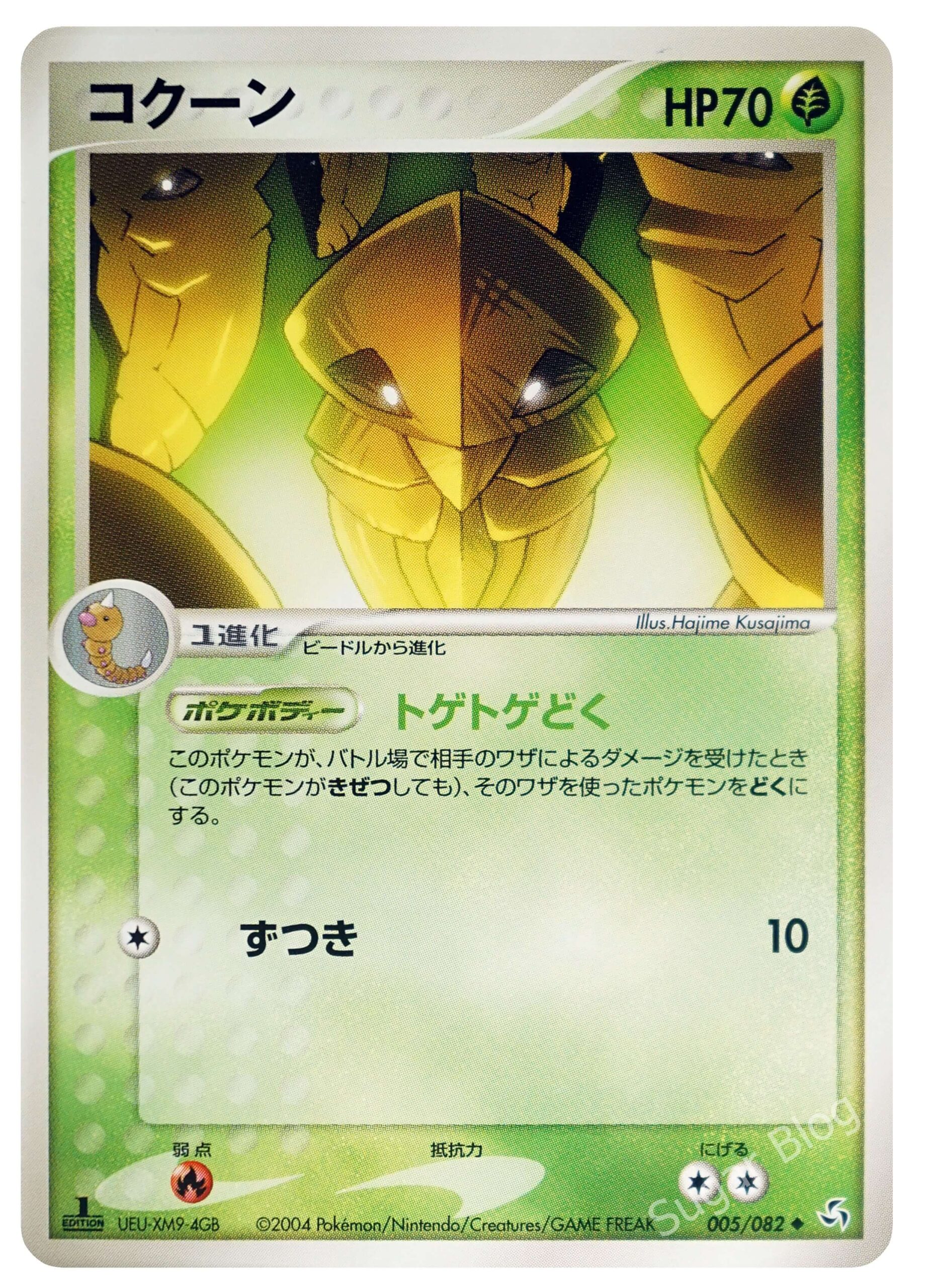 005_コクーン_4GB_1ED-scaled.jpg