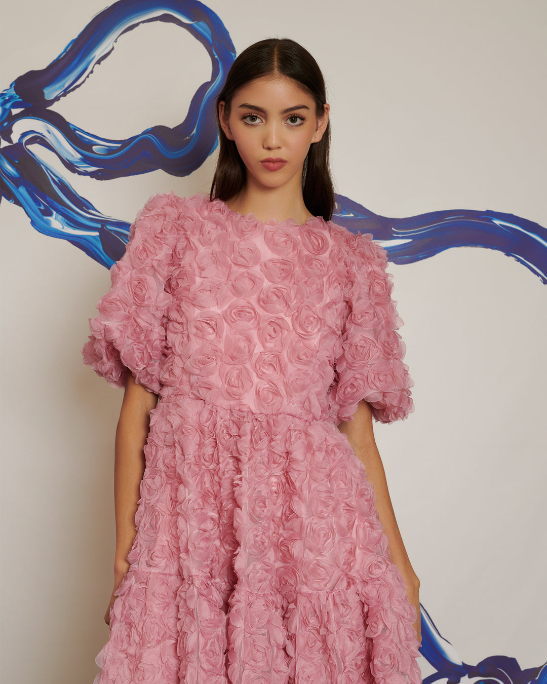 poppy ピンク シースルーワンピース 半袖 poppy ピンク シースルー