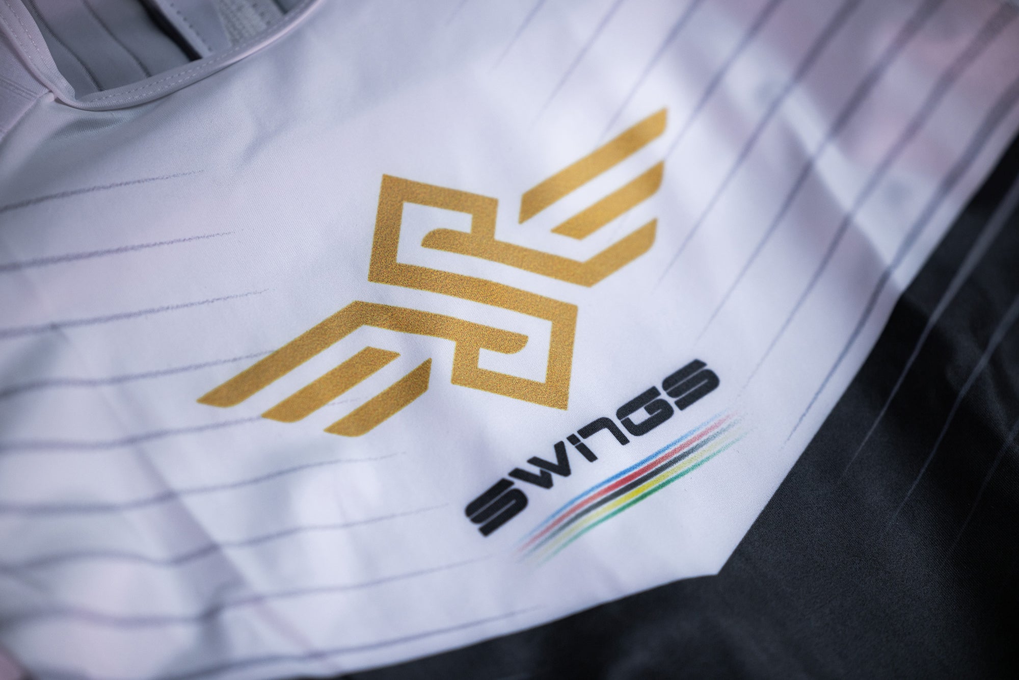 SWINGS ON WINGS by Bart Swings – Inline Speed Boots, Frames